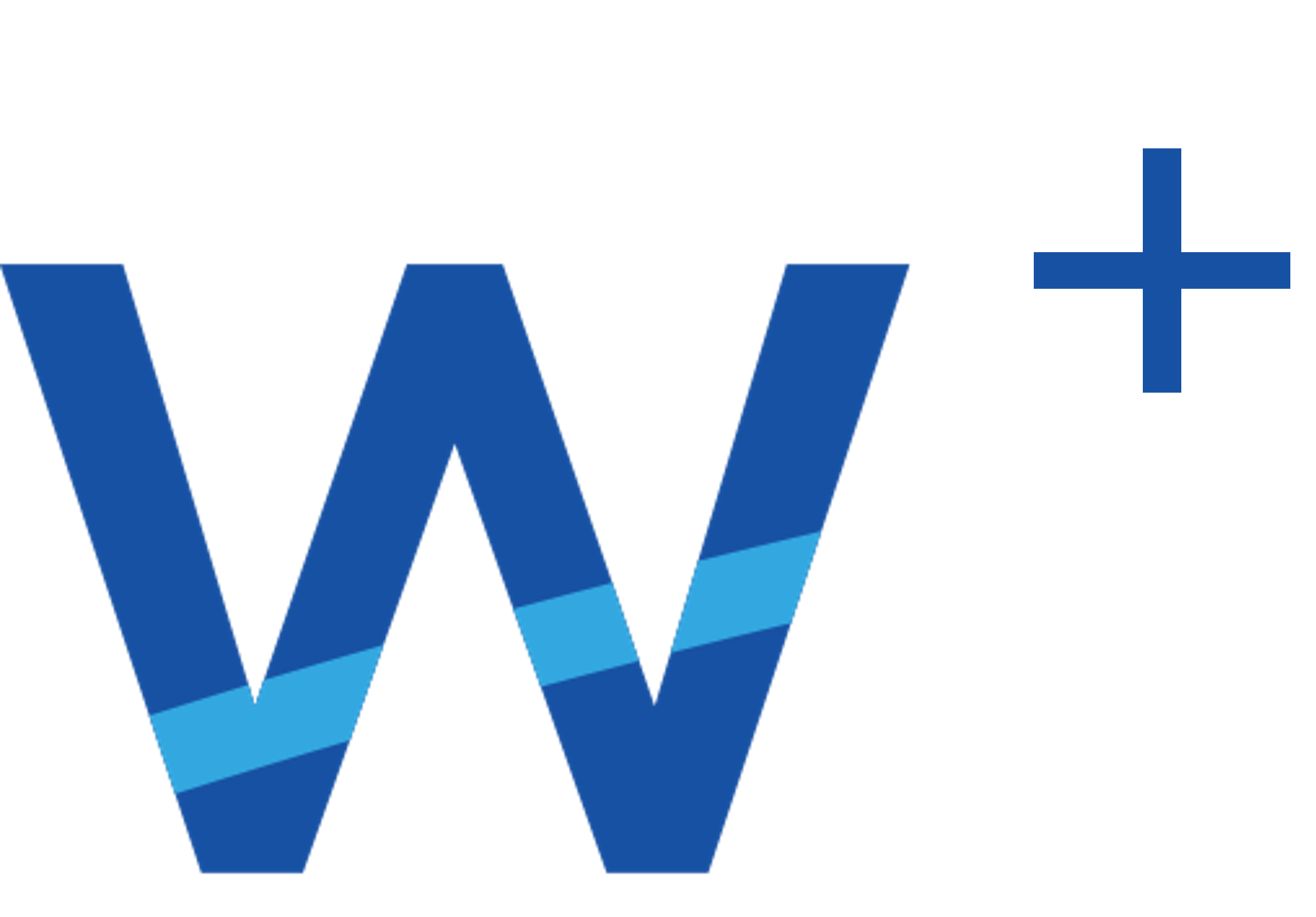 Logo WicsePlus