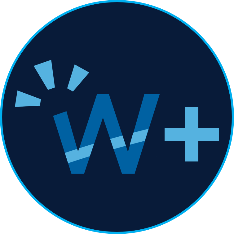 Logo WicsePlus